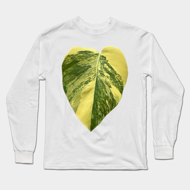 Colorful Variegated Monstera Deliciousa Aurea Design Long Sleeve T-Shirt by barkNbloom